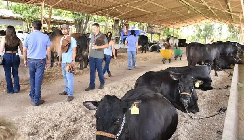 ASN São Paulo - Agência Sebrae de Notícias