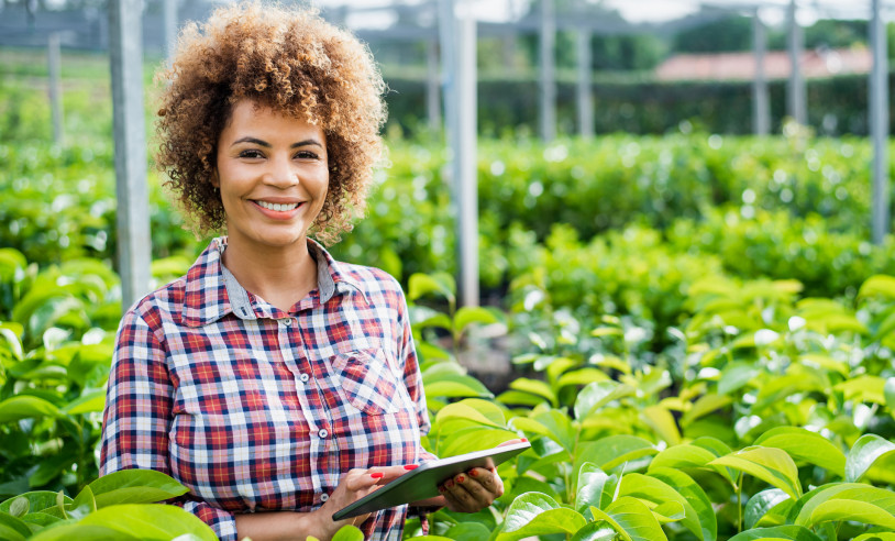 ASN São Paulo - Agência Sebrae de Notícias
