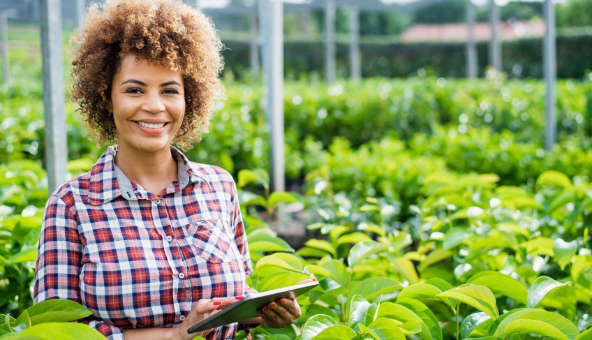 ASN São Paulo - Agência Sebrae de Notícias
