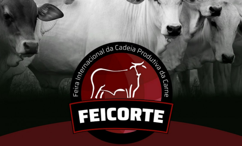 ASN São Paulo - Agência Sebrae de Notícias