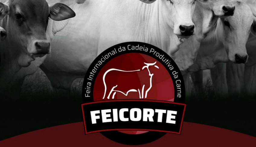 ASN São Paulo - Agência Sebrae de Notícias