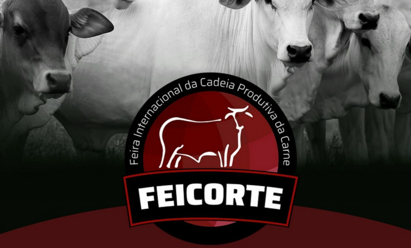 ASN São Paulo - Agência Sebrae de Notícias