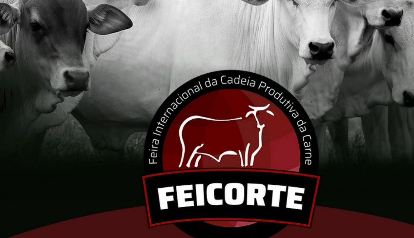 ASN São Paulo - Agência Sebrae de Notícias