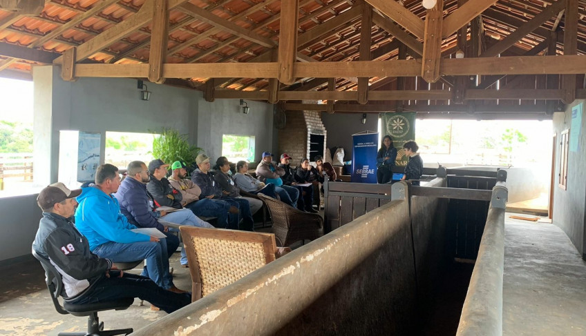 ASN São Paulo - Agência Sebrae de Notícias