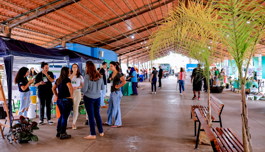 ASN São Paulo - Agência Sebrae de Notícias