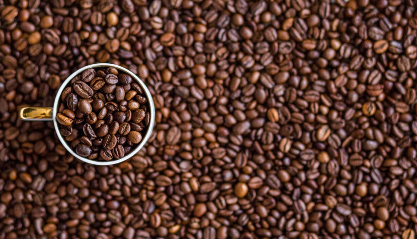 ASN São Paulo - Agência Sebrae de Notícias