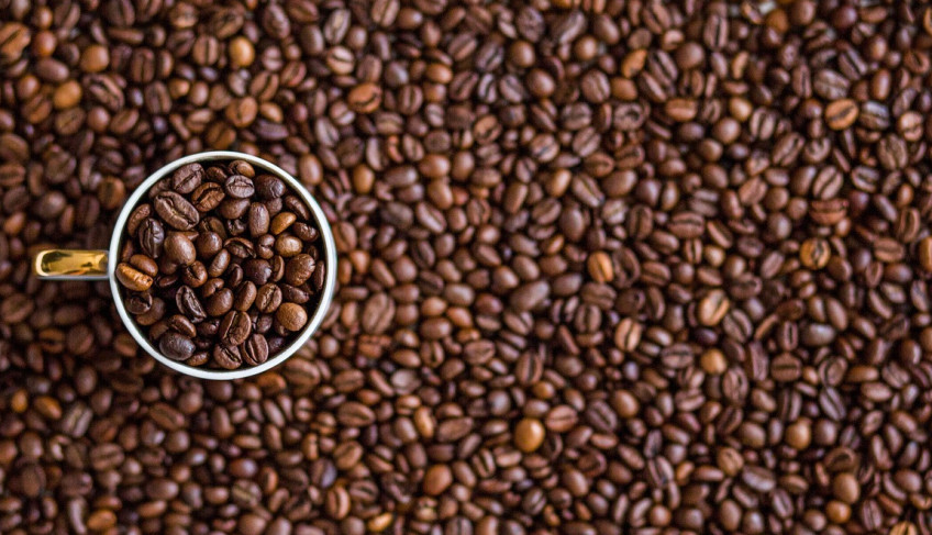 ASN São Paulo - Agência Sebrae de Notícias