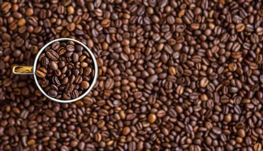 ASN São Paulo - Agência Sebrae de Notícias