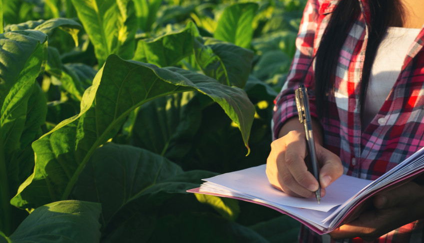 ASN São Paulo - Agência Sebrae de Notícias