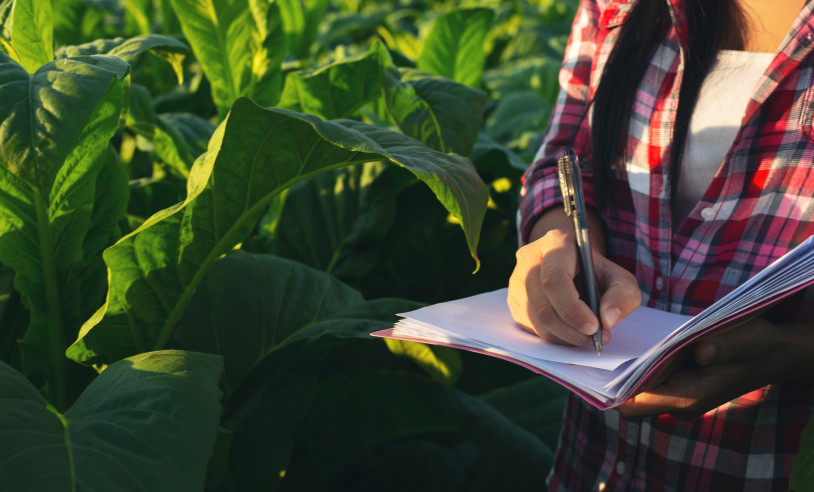 ASN São Paulo - Agência Sebrae de Notícias