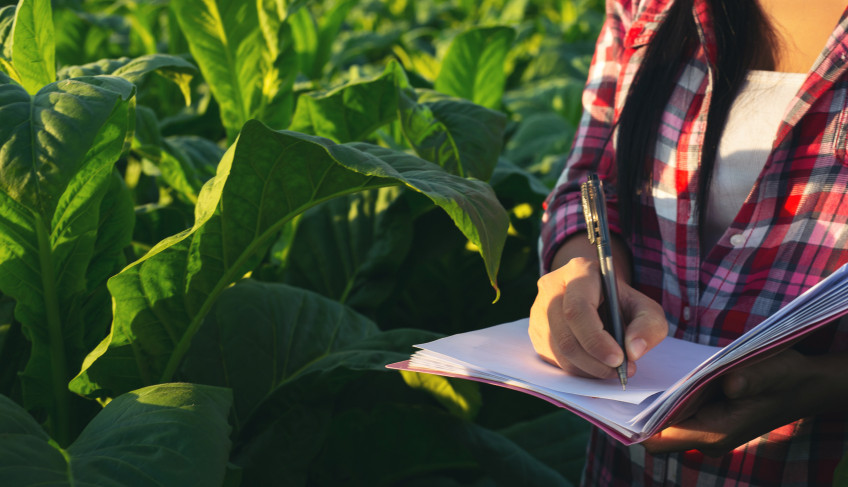 ASN São Paulo - Agência Sebrae de Notícias
