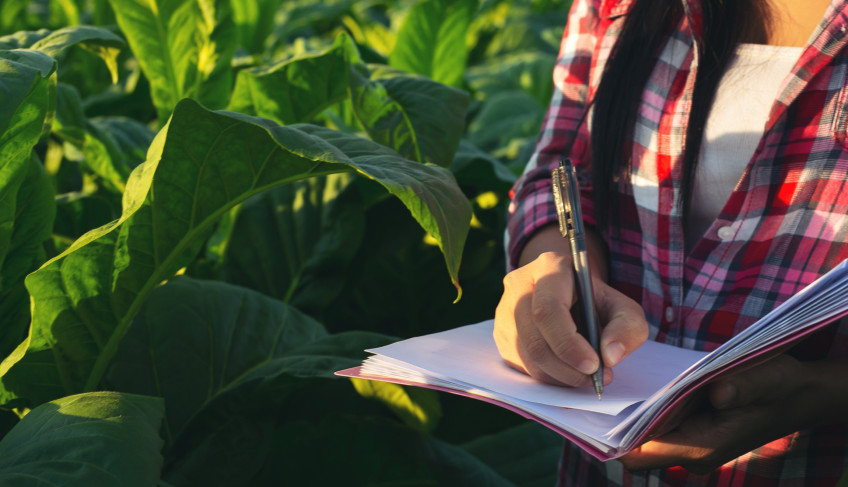 ASN São Paulo - Agência Sebrae de Notícias
