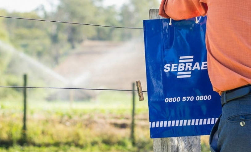 ASN São Paulo - Agência Sebrae de Notícias