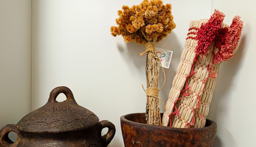 ASN São Paulo - Agência Sebrae de Notícias