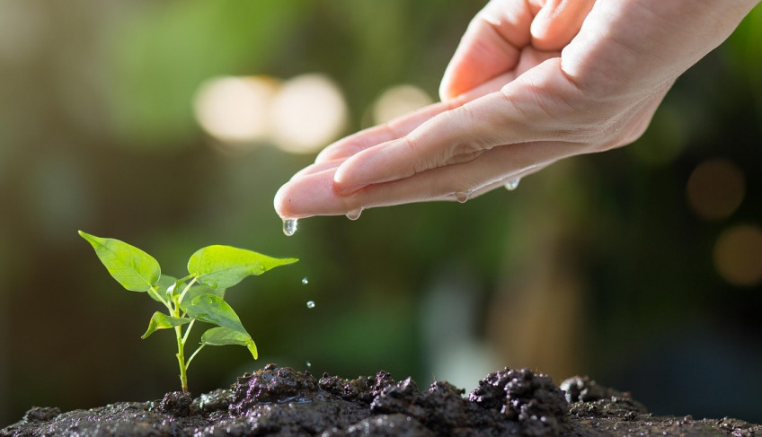 ASN São Paulo - Agência Sebrae de Notícias