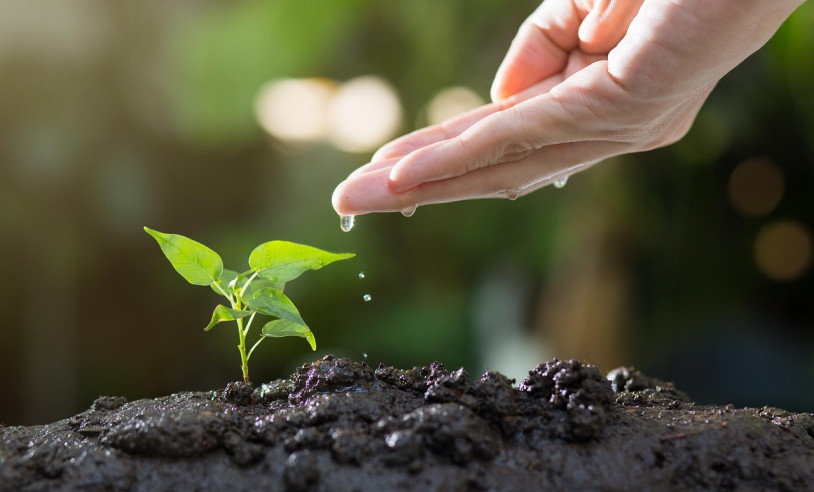 ASN São Paulo - Agência Sebrae de Notícias