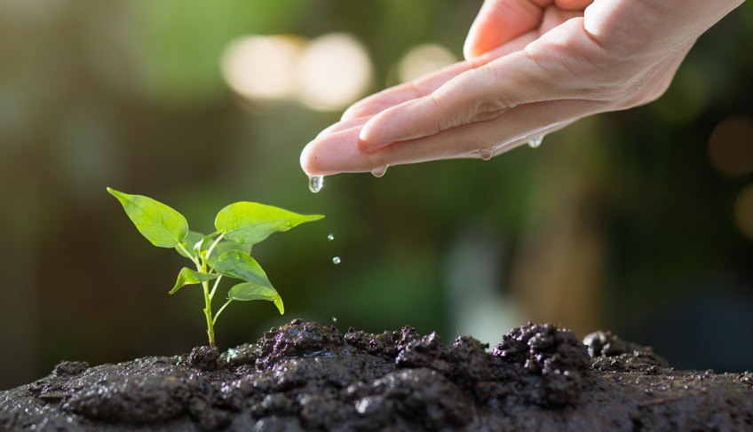 ASN São Paulo - Agência Sebrae de Notícias