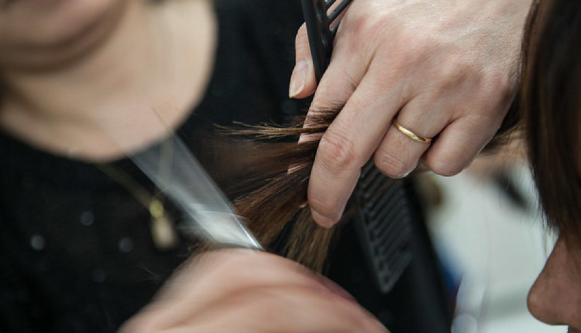 ASN São Paulo - Agência Sebrae de Notícias