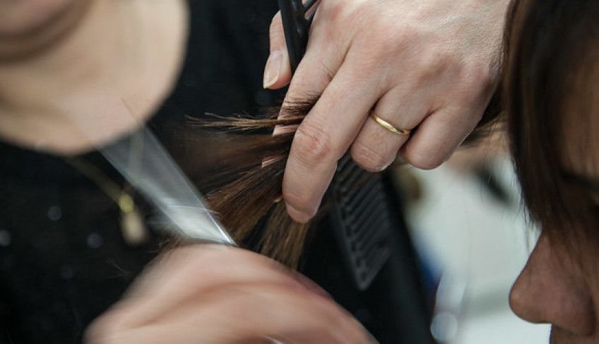 ASN São Paulo - Agência Sebrae de Notícias