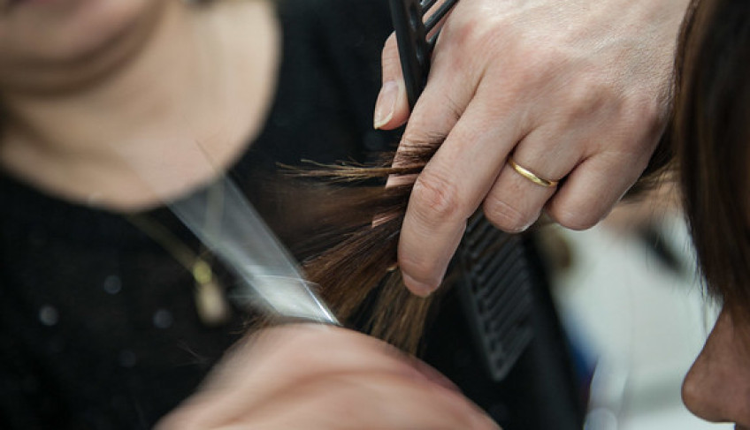 ASN São Paulo - Agência Sebrae de Notícias