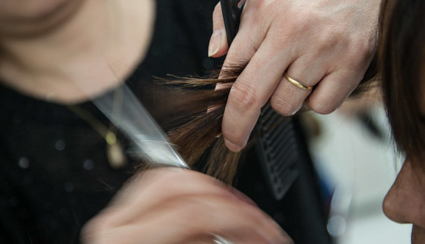ASN São Paulo - Agência Sebrae de Notícias