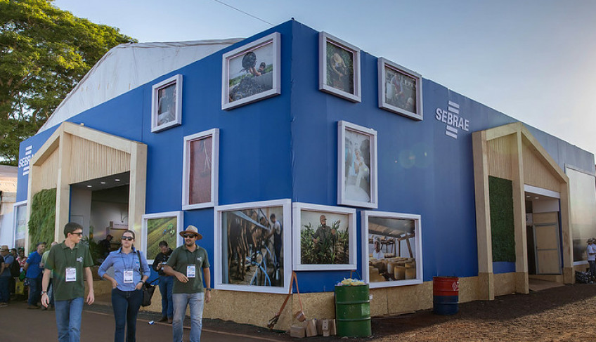 ASN São Paulo - Agência Sebrae de Notícias