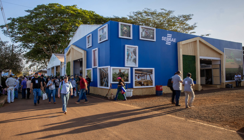ASN São Paulo - Agência Sebrae de Notícias