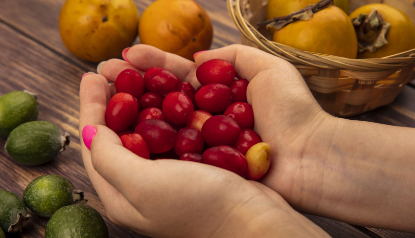 ASN São Paulo - Agência Sebrae de Notícias