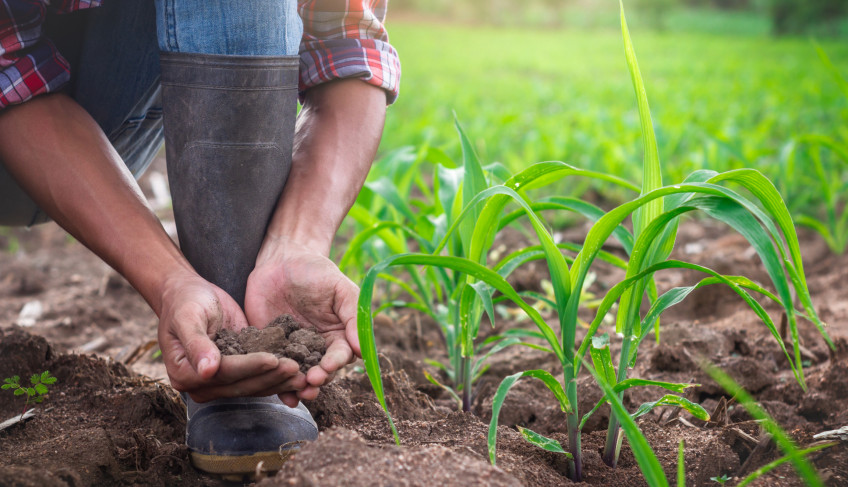 ASN São Paulo - Agência Sebrae de Notícias