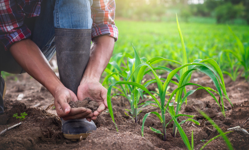 ASN São Paulo - Agência Sebrae de Notícias