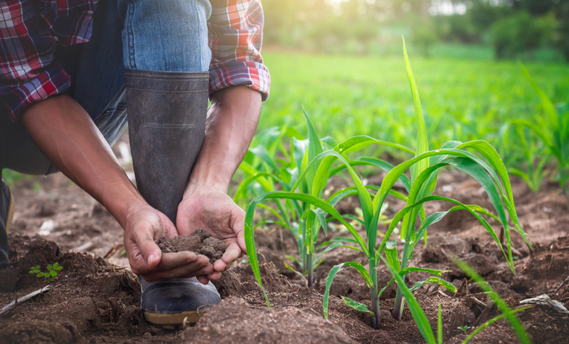 ASN São Paulo - Agência Sebrae de Notícias
