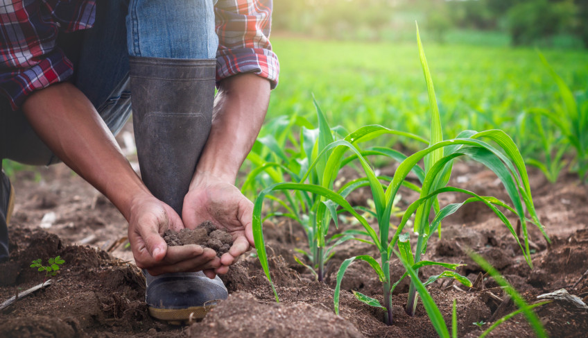 ASN São Paulo - Agência Sebrae de Notícias