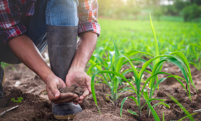 ASN São Paulo - Agência Sebrae de Notícias