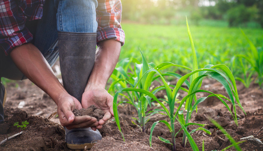 ASN São Paulo - Agência Sebrae de Notícias