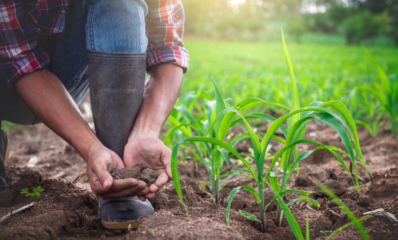 ASN São Paulo - Agência Sebrae de Notícias