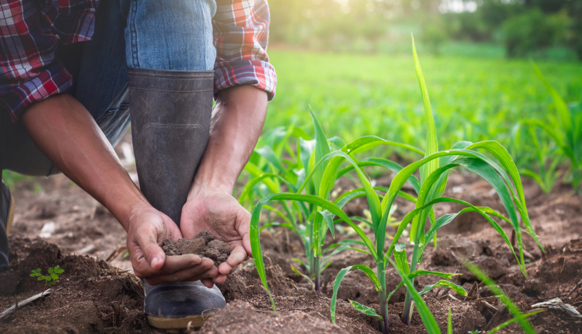 ASN São Paulo - Agência Sebrae de Notícias