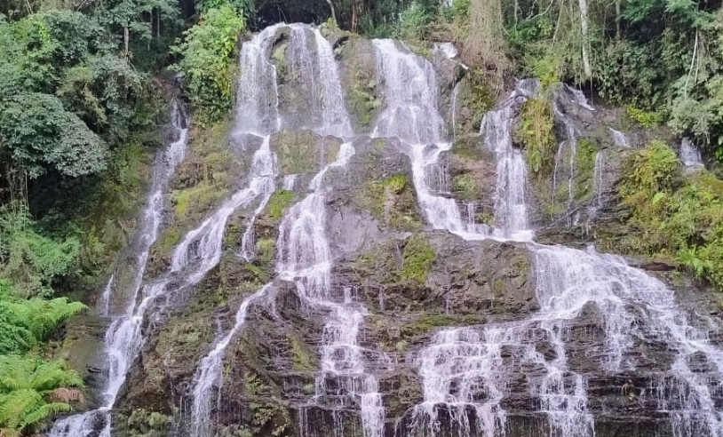 ASN São Paulo - Agência Sebrae de Notícias