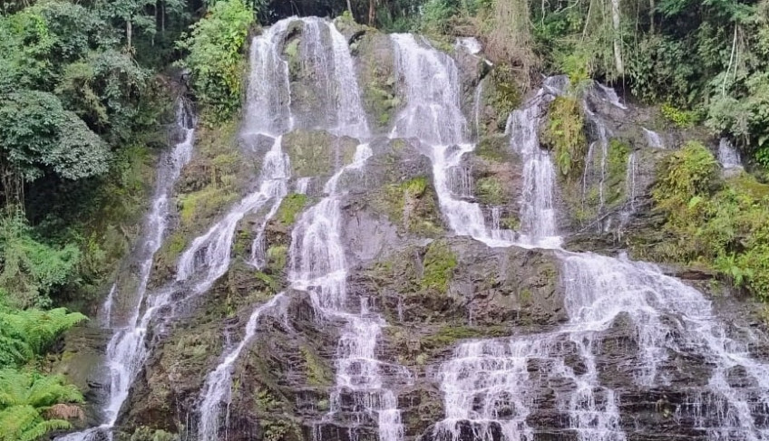 ASN São Paulo - Agência Sebrae de Notícias
