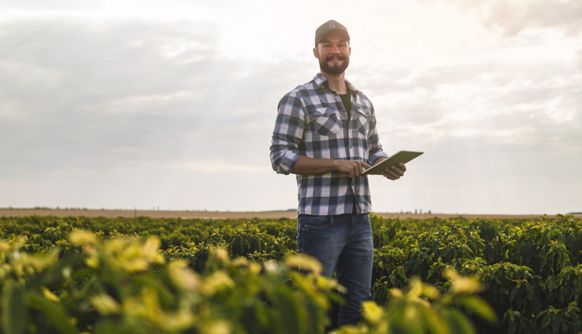ASN São Paulo - Agência Sebrae de Notícias