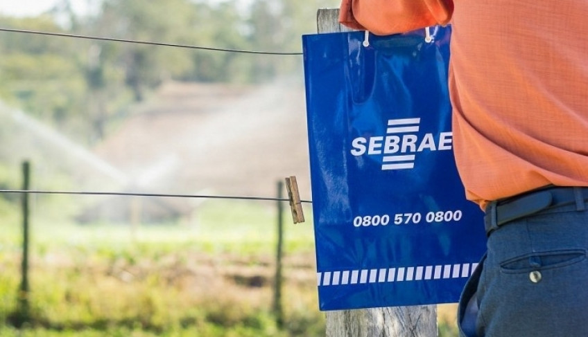 ASN São Paulo - Agência Sebrae de Notícias