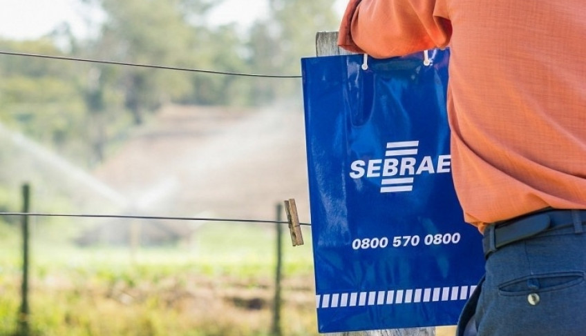 ASN São Paulo - Agência Sebrae de Notícias