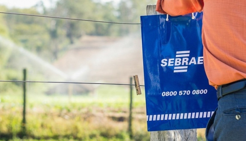 ASN São Paulo - Agência Sebrae de Notícias