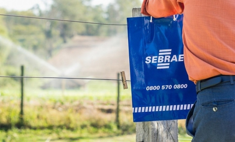ASN São Paulo - Agência Sebrae de Notícias