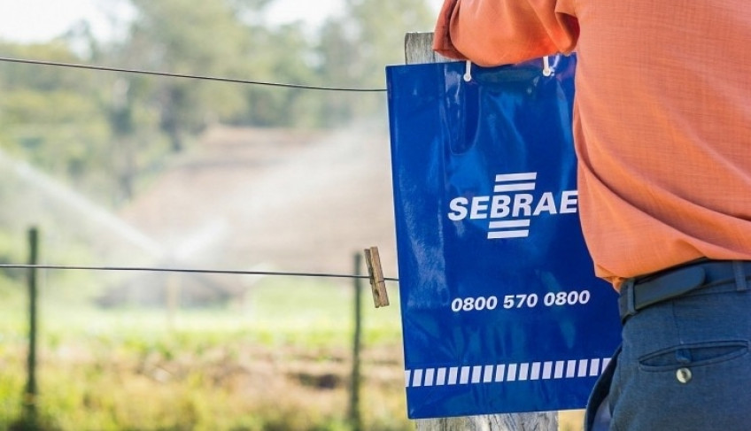 ASN São Paulo - Agência Sebrae de Notícias