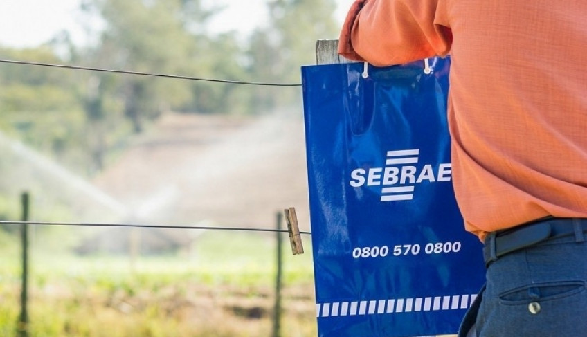 ASN São Paulo - Agência Sebrae de Notícias