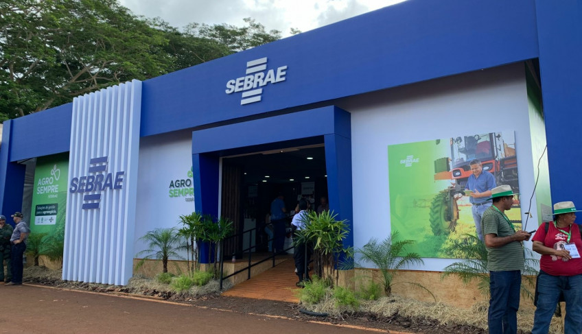 ASN São Paulo - Agência Sebrae de Notícias