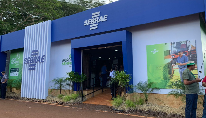 ASN São Paulo - Agência Sebrae de Notícias