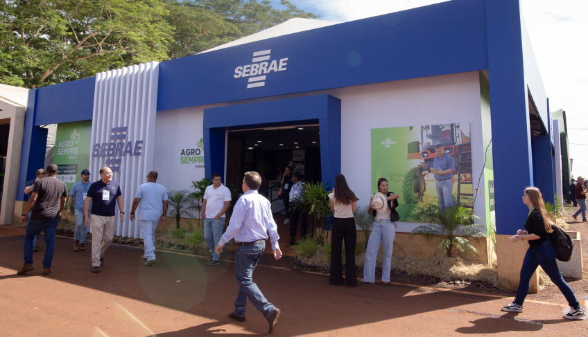 ASN São Paulo - Agência Sebrae de Notícias