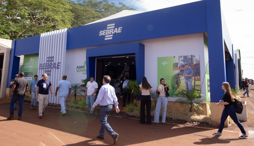 ASN São Paulo - Agência Sebrae de Notícias