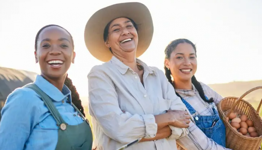 ASN São Paulo - Agência Sebrae de Notícias